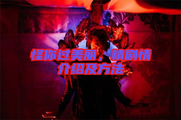 怪你過美麗，精劇情介紹及方法