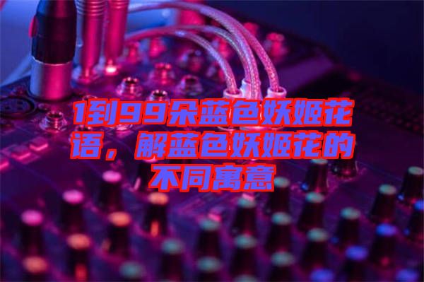 1到99朵藍色妖姬花語，解藍色妖姬花的不同寓意