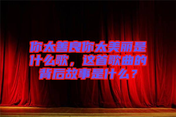 你太善良你太美麗是什么歌，這首歌曲的背后故事是什么？