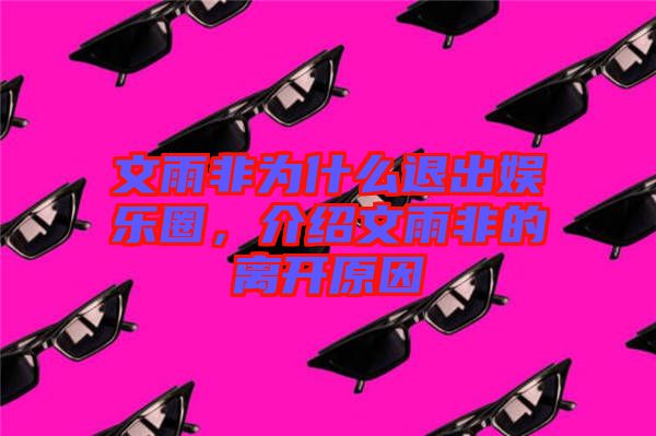 文雨非為什么退出娛樂圈，介紹文雨非的離開原因