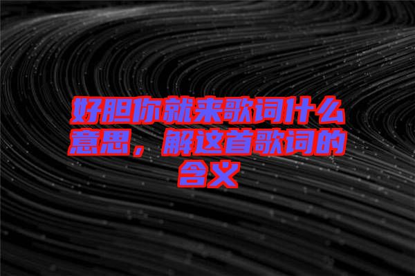 好膽你就來歌詞什么意思，解這首歌詞的含義