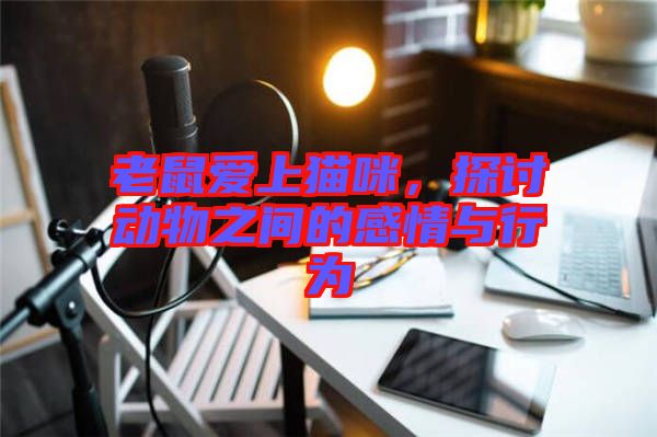 老鼠愛上貓咪，探討動物之間的感情與行為