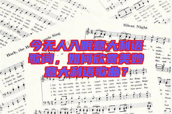 今無(wú)人入眠意大利語(yǔ)歌詞，如何欣賞美妙意大利語(yǔ)歌曲？