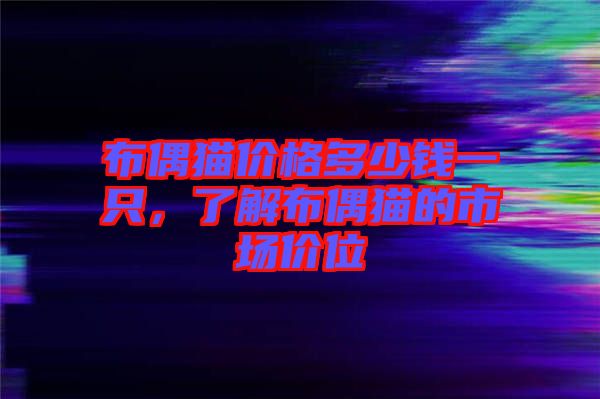 布偶貓價格多少錢一只，了解布偶貓的市場價位