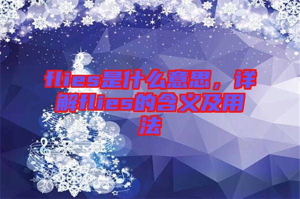 flies是什么意思，詳解flies的含義及用法