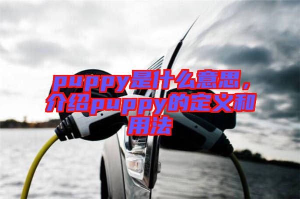 puppy是什么意思，介紹puppy的定義和用法