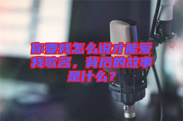 你要我怎么說才能愛我歌名，背后的故事是什么？