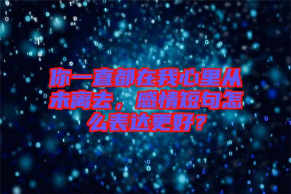 你一直都在我心里從未離去，感情短句怎么表達更好？