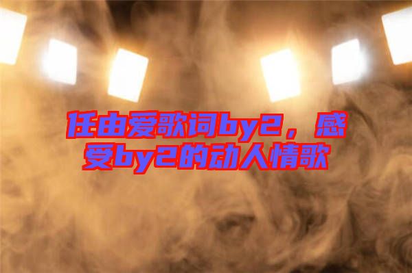 任由愛歌詞by2，感受by2的動人情歌