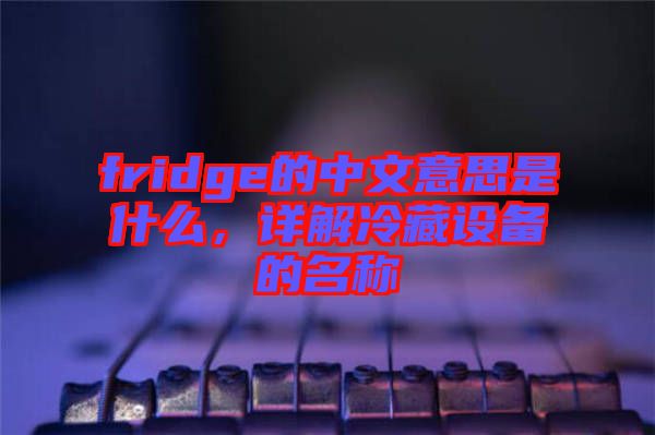 fridge的中文意思是什么，詳解冷藏設(shè)備的名稱