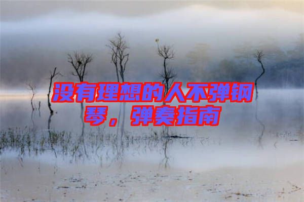 沒(méi)有理想的人不彈鋼琴，彈奏指南