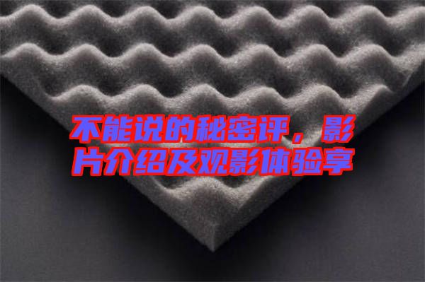 不能說的秘密評，影片介紹及觀影體驗(yàn)享