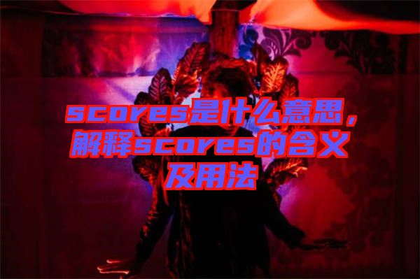 scores是什么意思，解釋scores的含義及用法