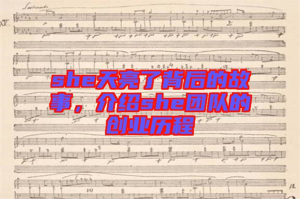 she天亮了背后的故事，介紹she團(tuán)隊(duì)的創(chuàng)業(yè)歷程