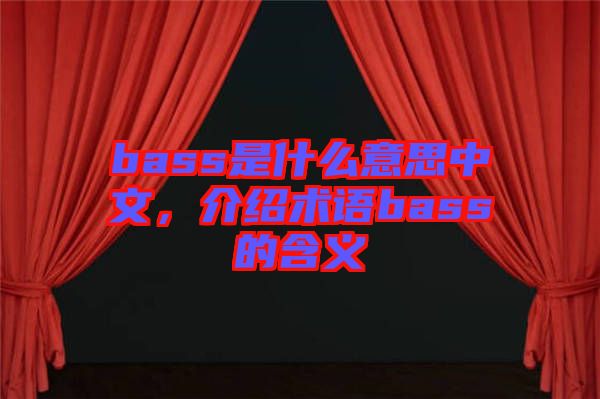 bass是什么意思中文，介紹術語bass的含義