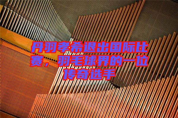 丹羽孝希退出國際比賽，羽毛球界的一位傳奇選手