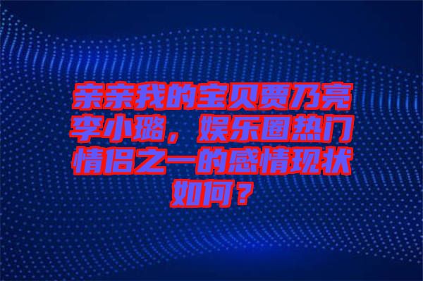 親親我的寶貝賈乃亮李小璐，娛樂圈熱門情侶之一的感情現(xiàn)狀如何？