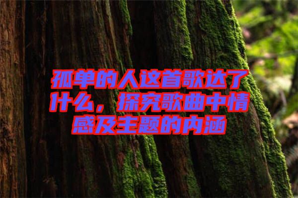 孤單的人這首歌達了什么，探究歌曲中情感及主題的內(nèi)涵