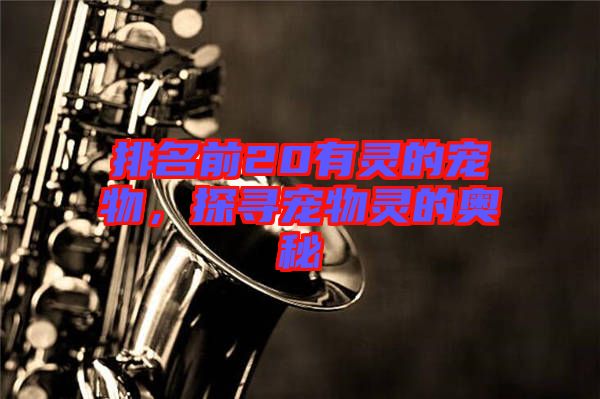 排名前20有靈的寵物，探尋寵物靈的奧秘