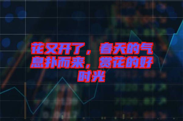 花又開了，春天的氣息撲而來，賞花的好時(shí)光