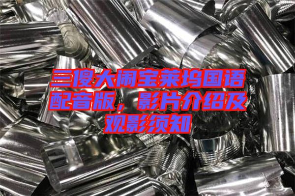 三傻大鬧寶萊塢國語配音版，影片介紹及觀影須知