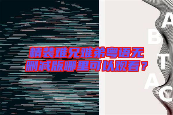 精裝難兄難弟粵語無刪減版哪里可以觀看？
