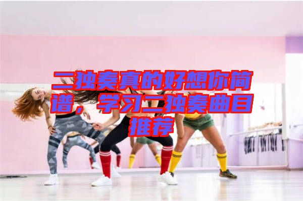 二獨(dú)奏真的好想你簡譜，學(xué)習(xí)二獨(dú)奏曲目推薦