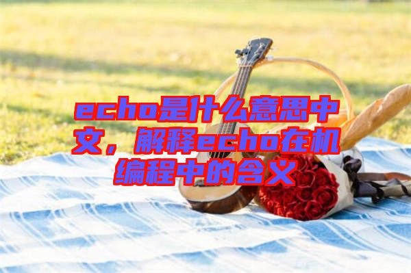 echo是什么意思中文，解釋echo在機(jī)編程中的含義