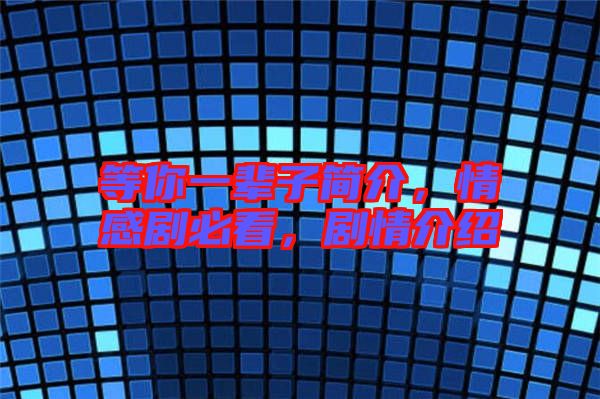 等你一輩子簡介，情感劇必看，劇情介紹