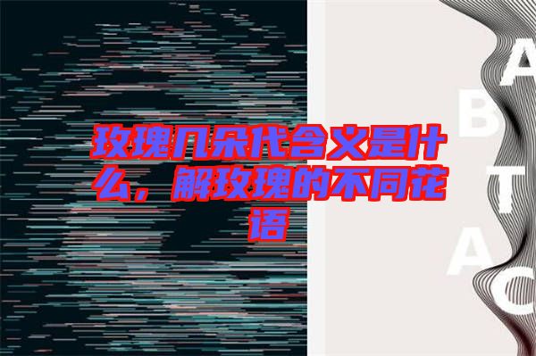 玫瑰幾朵代含義是什么，解玫瑰的不同花語