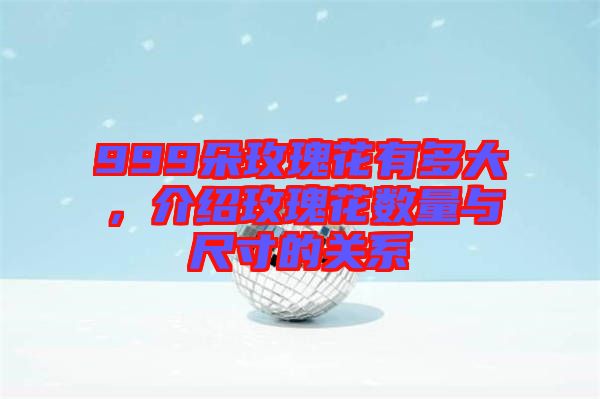 999朵玫瑰花有多大，介紹玫瑰花數(shù)量與尺寸的關(guān)系
