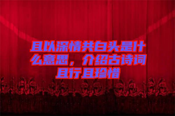 且以深情共白頭是什么意思，介紹古詩(shī)詞且行且珍惜