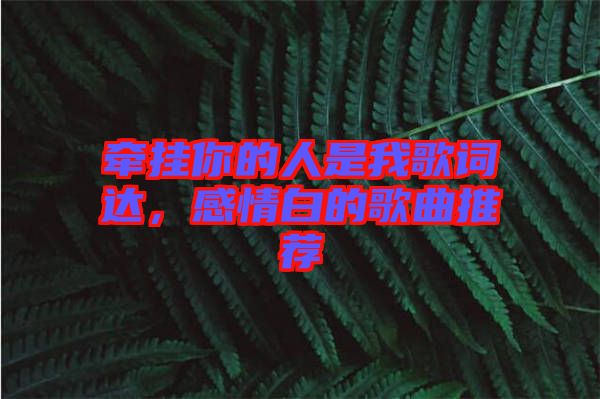 牽掛你的人是我歌詞達，感情白的歌曲推薦