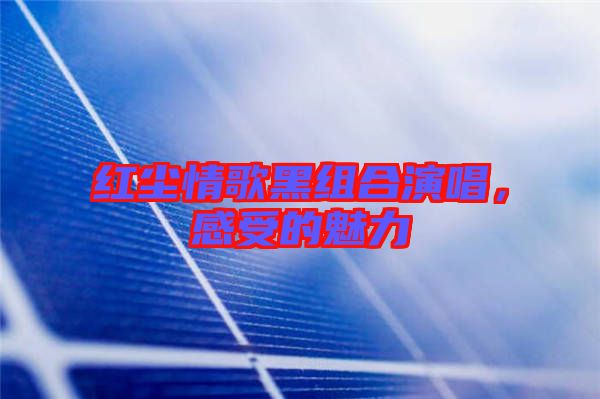 紅塵情歌黑組合演唱，感受的魅力