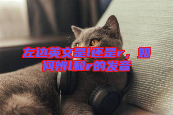 左邊英文是l還是r，如何辨l和r的發(fā)音