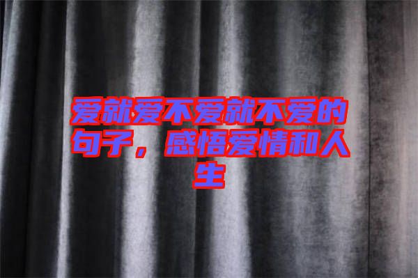 愛就愛不愛就不愛的句子，感悟愛情和人生