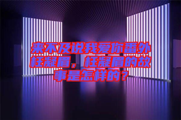 來不及說我愛你番外枉凝眉，枉凝眉的故事是怎樣的？