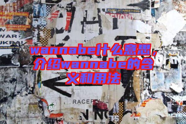wannabe什么意思，介紹wannabe的含義和用法