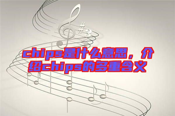 chips是什么意思，介紹chips的多重含義