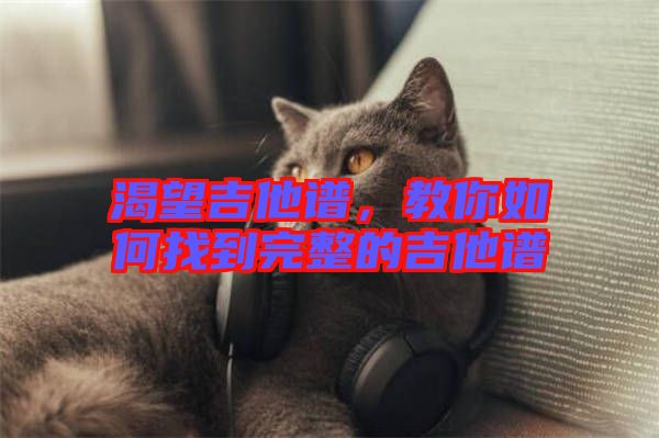 渴望吉他譜，教你如何找到完整的吉他譜