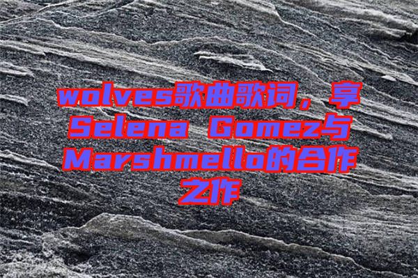 wolves歌曲歌詞，享Selena Gomez與Marshmello的合作之作