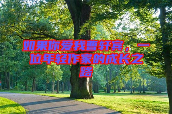 如果你愛我曹軒賓，一位年輕作家的成長之路