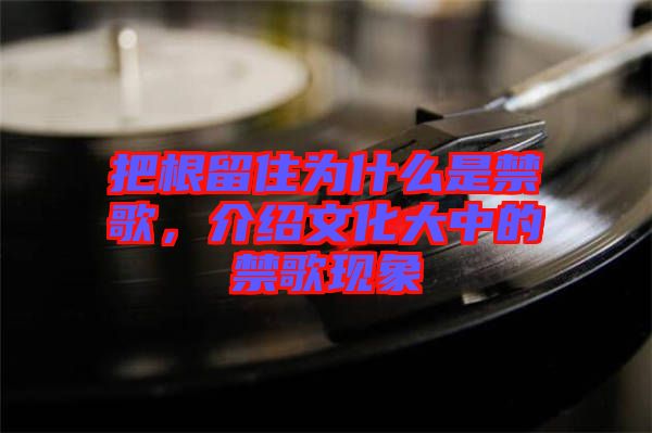 把根留住為什么是禁歌，介紹文化大中的禁歌現(xiàn)象