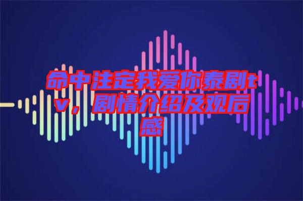 命中注定我愛你泰劇tv，劇情介紹及觀后感