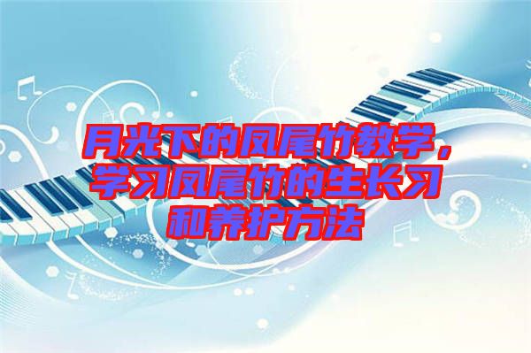 月光下的鳳尾竹教學(xué)，學(xué)習(xí)鳳尾竹的生長習(xí)和養(yǎng)護(hù)方法