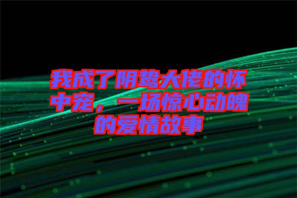 我成了陰鷙大佬的懷中寵，一場驚心動魄的愛情故事