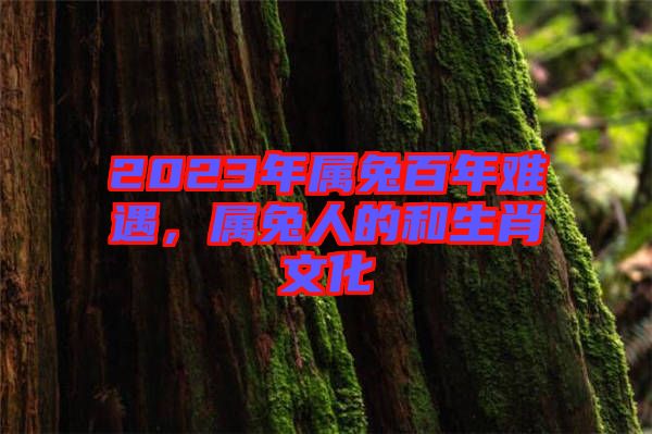 2023年屬兔百年難遇，屬兔人的和生肖文化