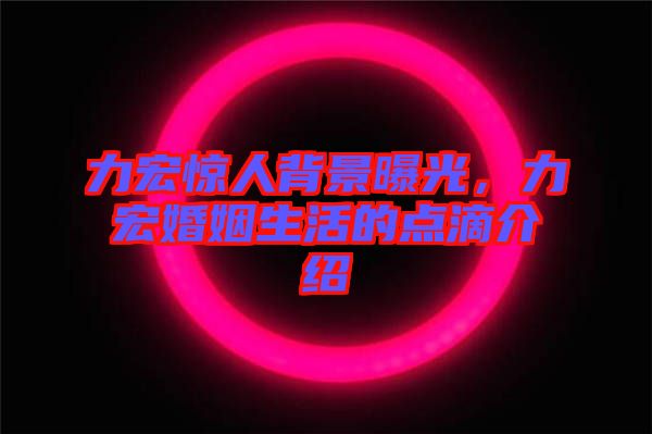 力宏驚人背景曝光，力宏婚姻生活的點滴介紹
