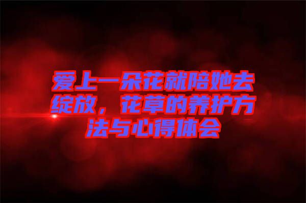 愛上一朵花就陪她去綻放，花草的養(yǎng)護(hù)方法與心得體會(huì)