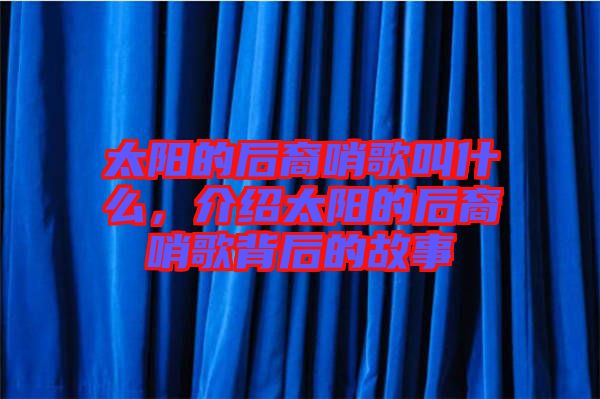 太陽的后裔哨歌叫什么，介紹太陽的后裔哨歌背后的故事
